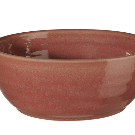 POKÉ-Schale 18 cm Drachenfrucht