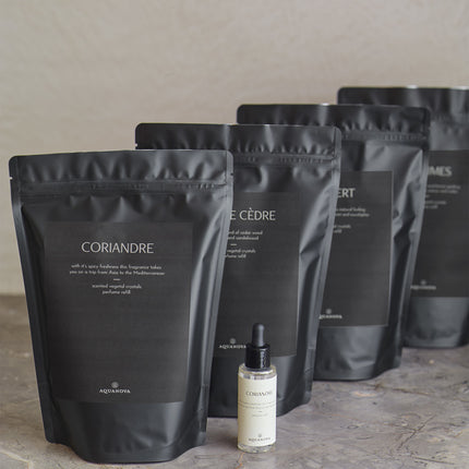 Refill til duftsten PARIS Coriandre